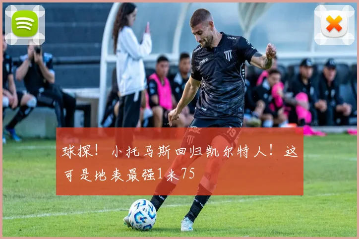球探！小托马斯回归凯尔特人！这可是地表最强1米75