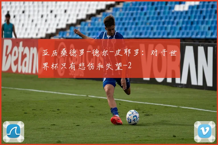亚历桑德罗-德尔-皮耶罗：对于世界杯只有悲伤和失望