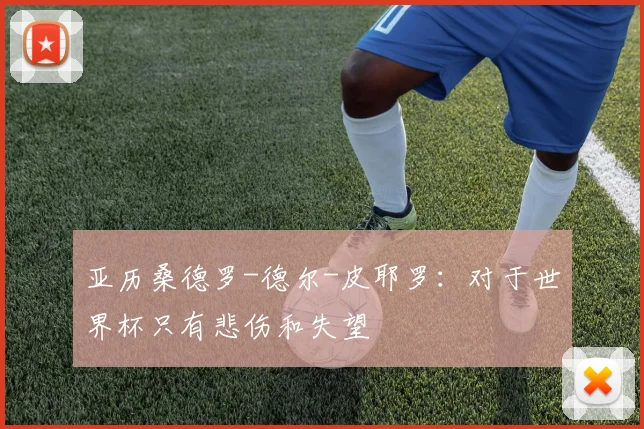 亚历桑德罗-德尔-皮耶罗：对于世界杯只有悲伤和失望