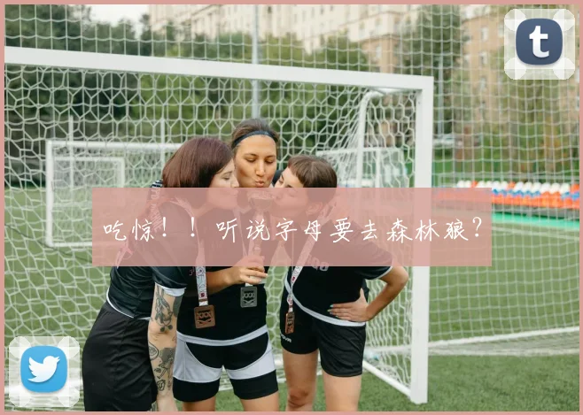 吃惊！！听说字母要去森林狼？